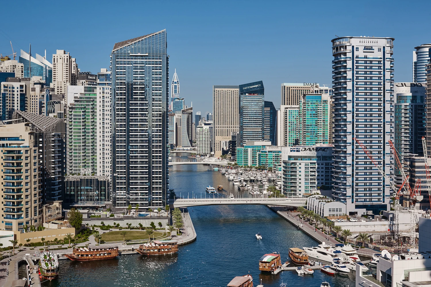 Unleashing Your Business Potential in Dubai